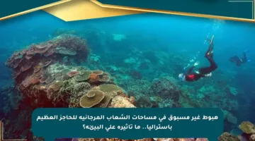 هبوط غير مسبوق في مساحات الشعاب المرجانية للحاجز العظيم بأستراليا.. ما تأثيره على البيئة؟